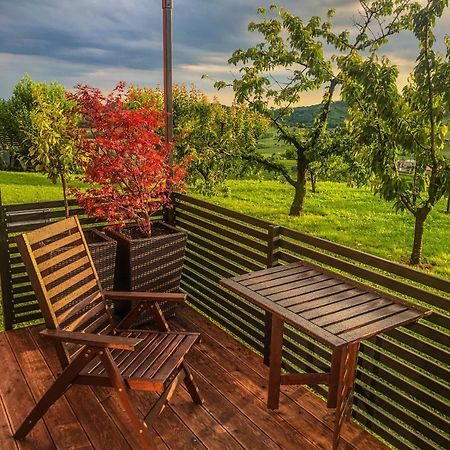 Apartma Sobe Pulec Доброво Екстер'єр фото